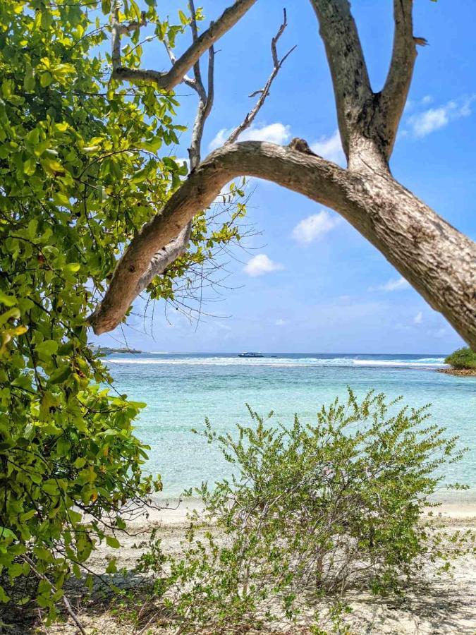 Hotel Dhoadhi Retreat Thulusdhoo Exterior foto